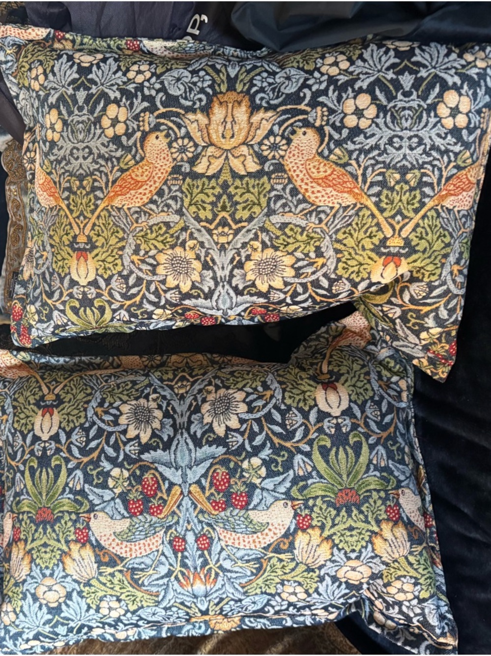 CALDEIRA Embroidered Bird & Floral Throw Pillow Pair in Blue and Green, set of 2